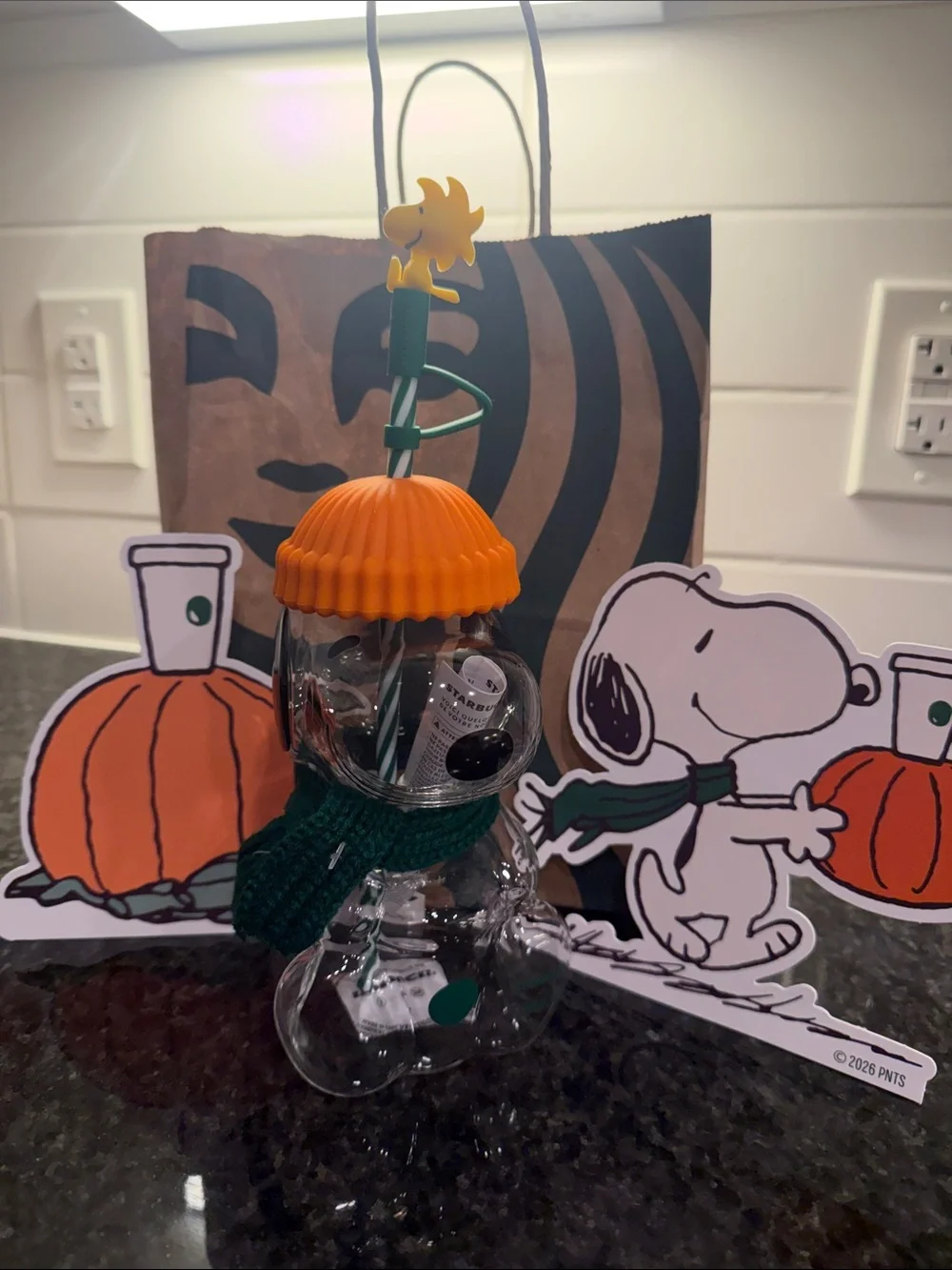 Starbucks Clear Snoopy Tumbler with Orange Lid & Green Straw